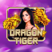 Nustar App live casino Dragon Tiger